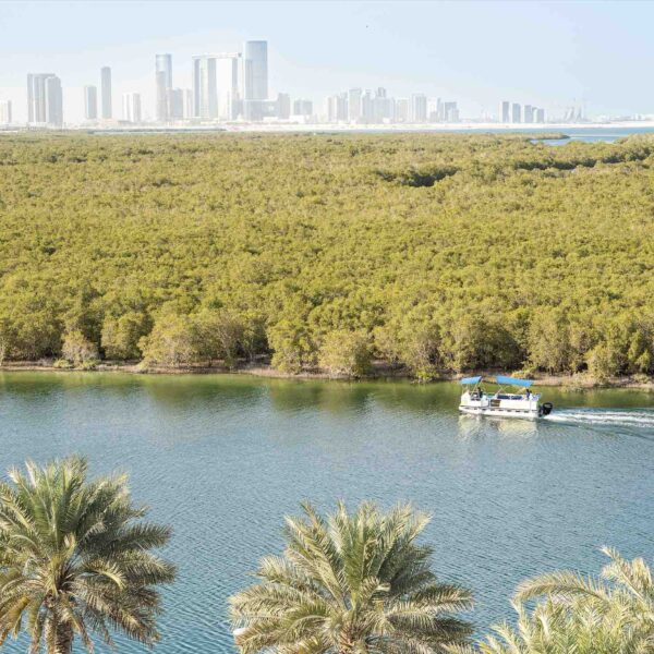 Eastern Mangroves