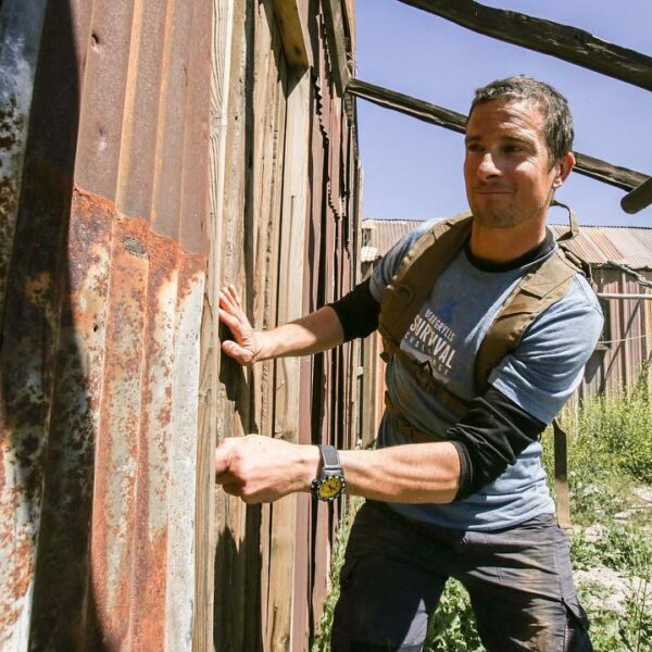 Bear Grylls Abu Dhabi